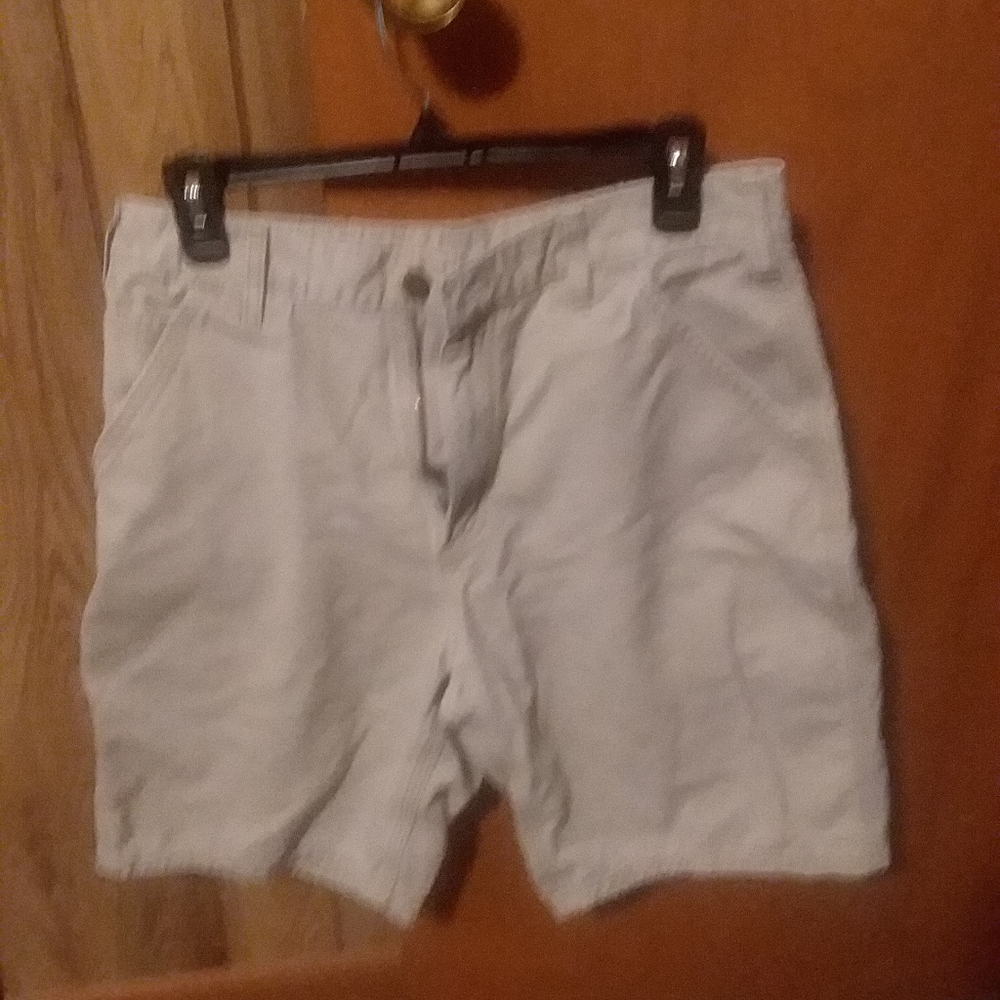 Carhartt shorts